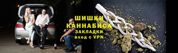 индика Алексин