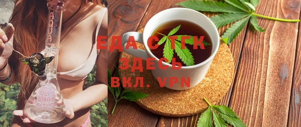 индика Алексин