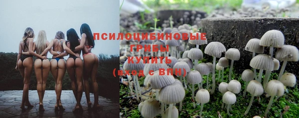 PSILOCYBIN Абинск