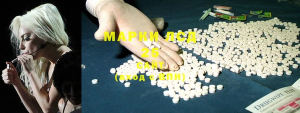 индика Алексин