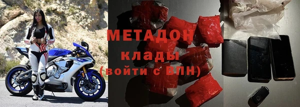 индика Алексин
