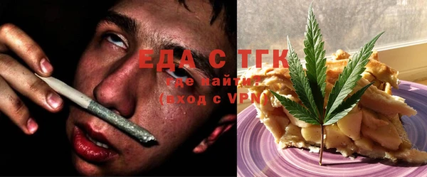 индика Алексин